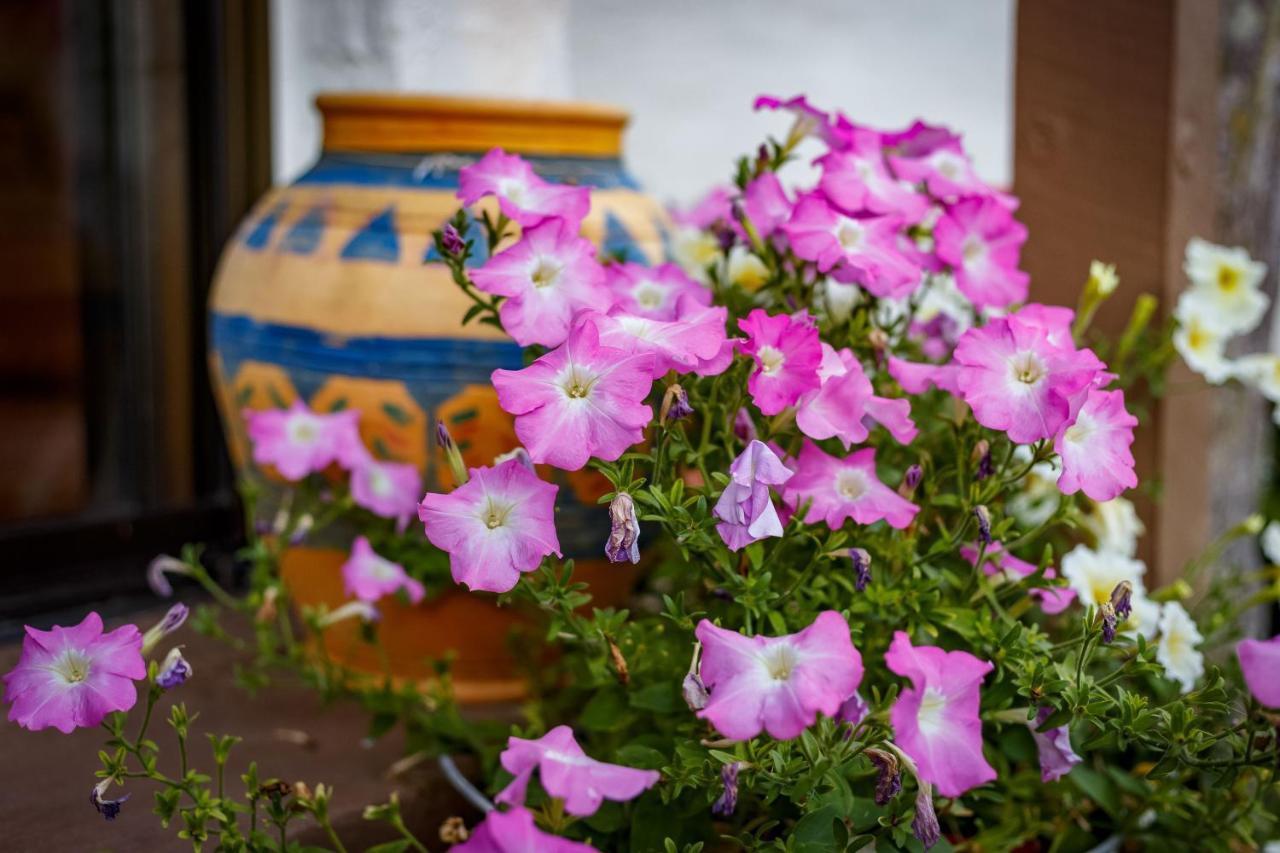 Sensom Boutique Bed And Breakfast Sapphire Beach Exterior foto